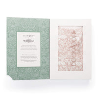 Deluxe cover Brer Rabbit